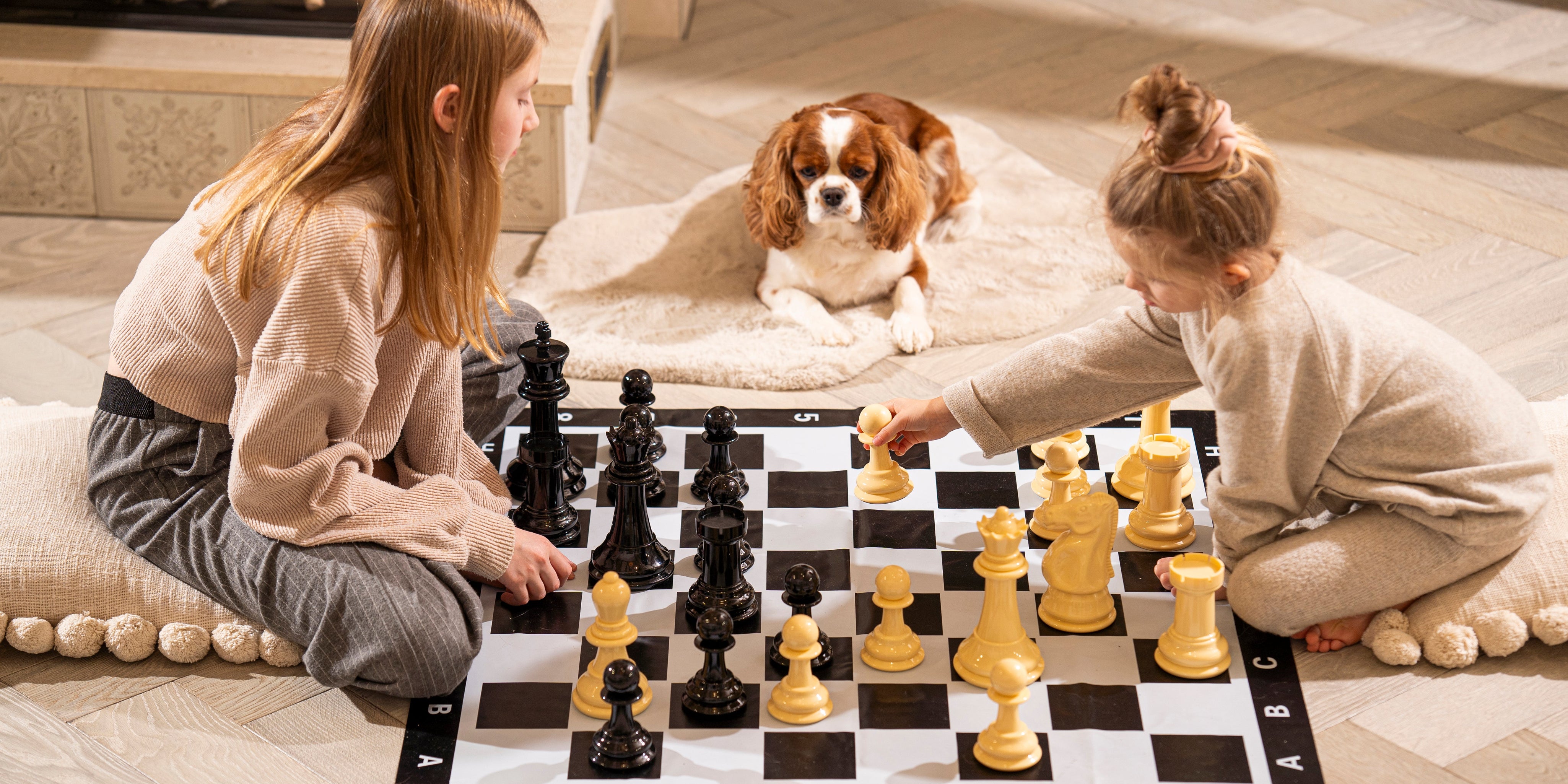 Schach für Kinder