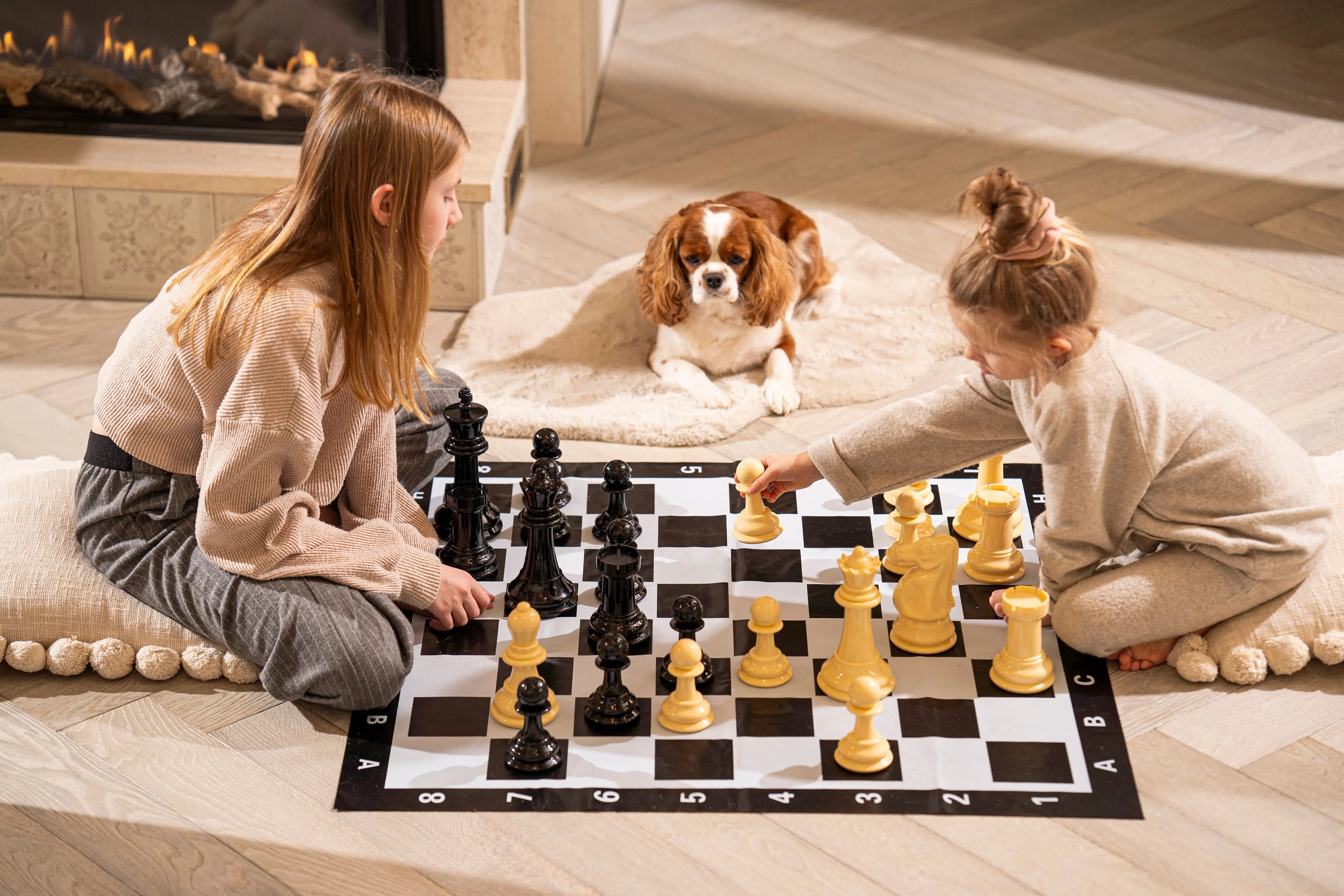 Schach für Kinder