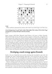 The Anand Files by Michiel Abeln (Paperback)
