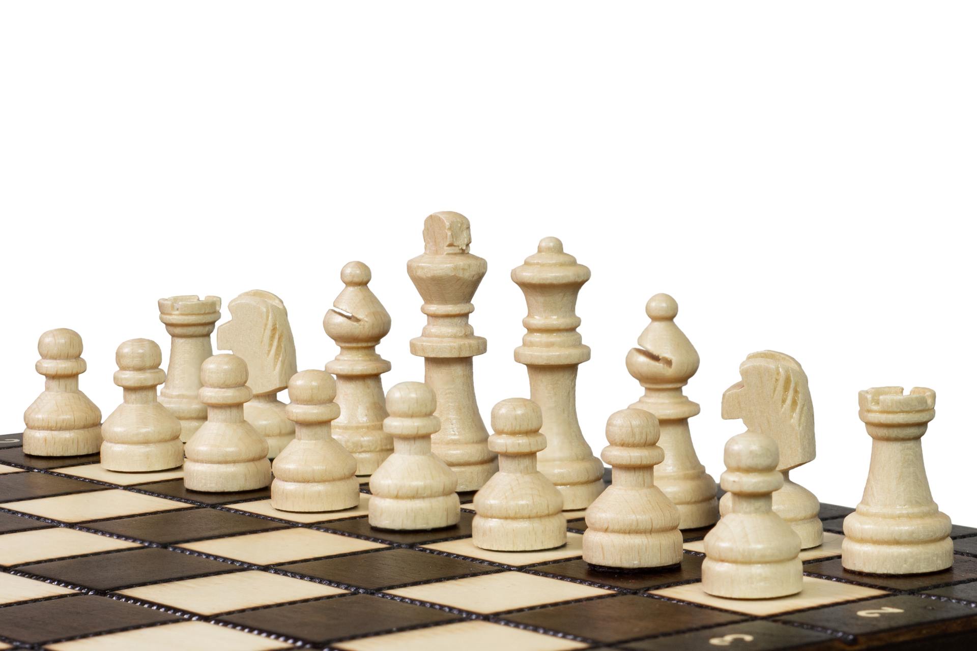 MAGNETIC SCHOOL Schach (28x28cm) - cfadd495b27f407a9b5ab18b1f2ea4b6