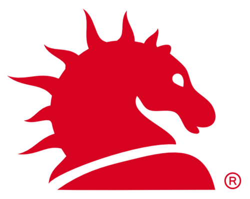 NurSchach