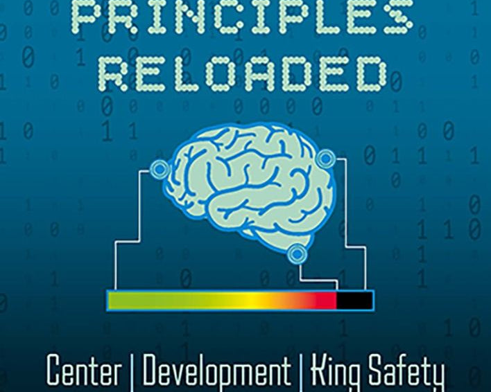 chess-principles-reloaded-by-andras-toth-miekka-okladka-9789083538549.jpg
