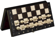 MAGNETIC SCHOOL CHESS